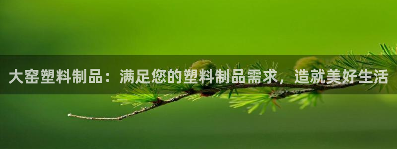 太陽成集團網(wǎng)站5：大窯塑料制品：滿足您的塑料制品需求，造就美