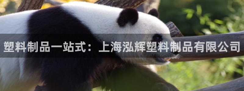古天樂和太陽集團(tuán)誰厲害