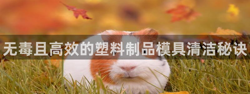 太陽(yáng)成集團(tuán)網(wǎng)址 app：無(wú)毒且高效的塑料制品模具清潔秘訣