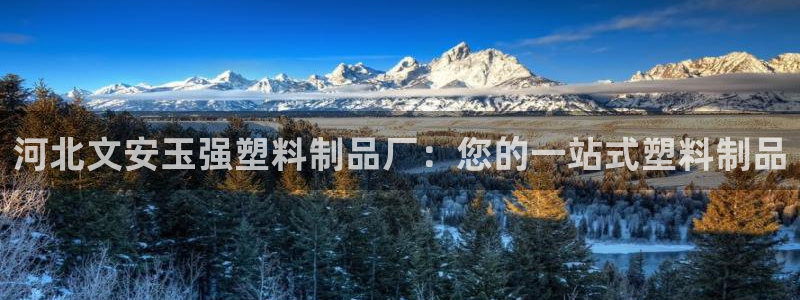 太陽(yáng)成集團(tuán)tyc7111cc電影：河北文安玉強(qiáng)塑料制品廠：您