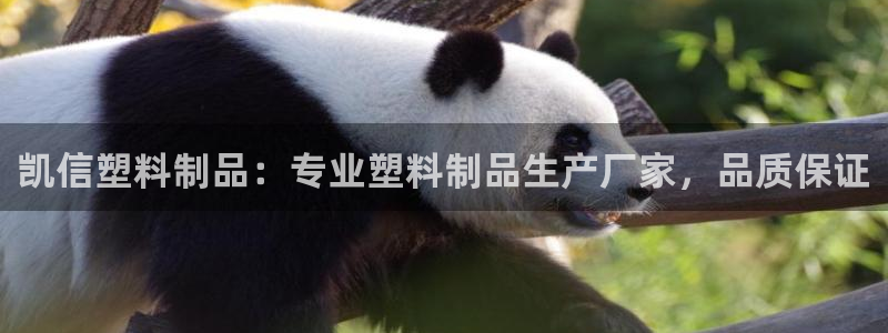 太陽(yáng)集團(tuán)tcy8722電子游戲：凱信塑料制品：專業(yè)塑料制品生