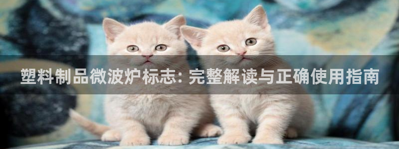 太陽(yáng)老板身價(jià)：塑料制品微波爐標(biāo)志: 完整解讀與正確使用指南